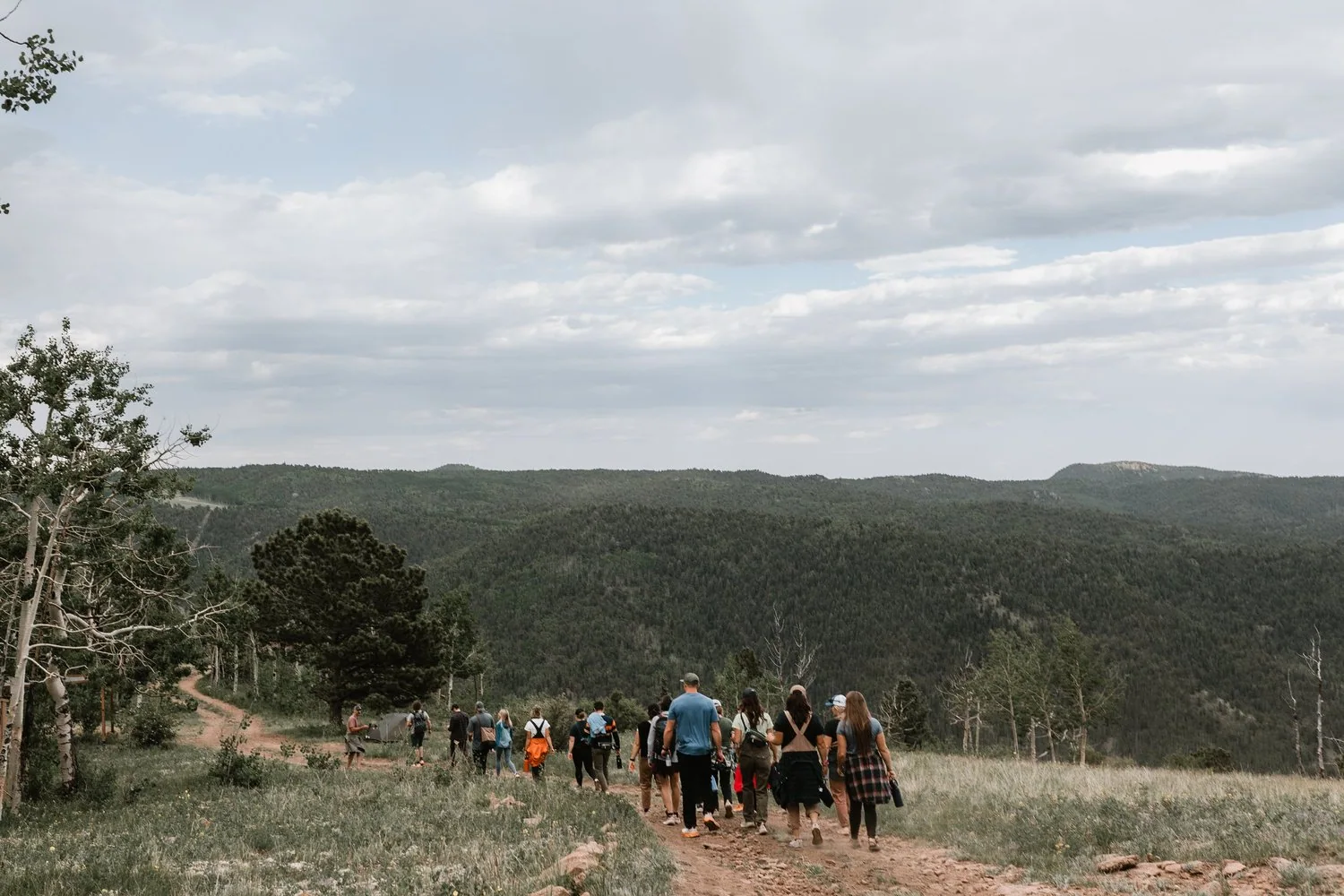 A group walking together through an open mountain meadow